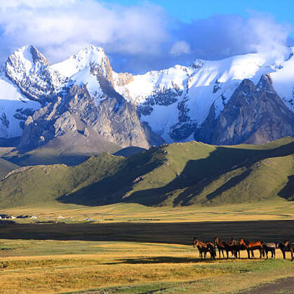 Steppes and mountains