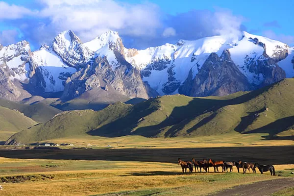 Steppes and mountains