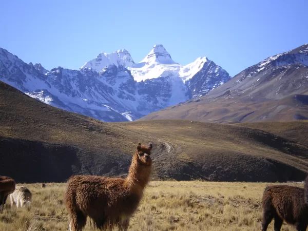 Condoriri range, Bolivia