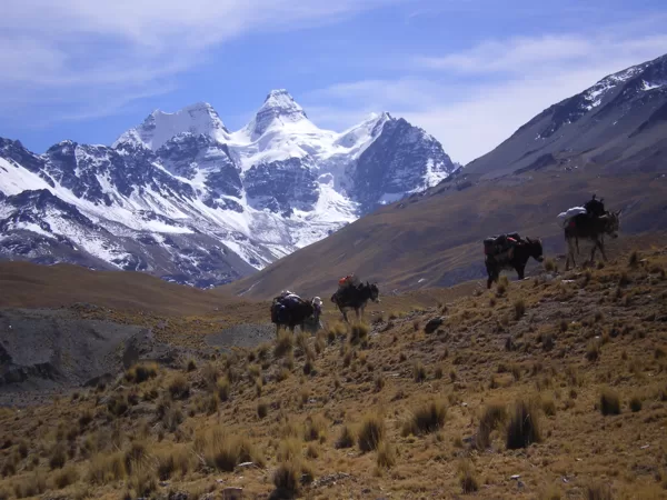 Condoriri range, Bolivia